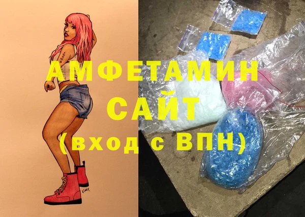 apvp Алзамай