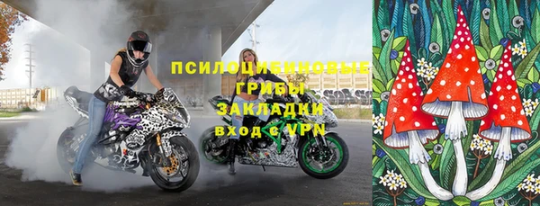 apvp Алзамай