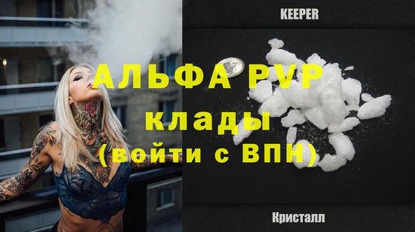 apvp Алзамай