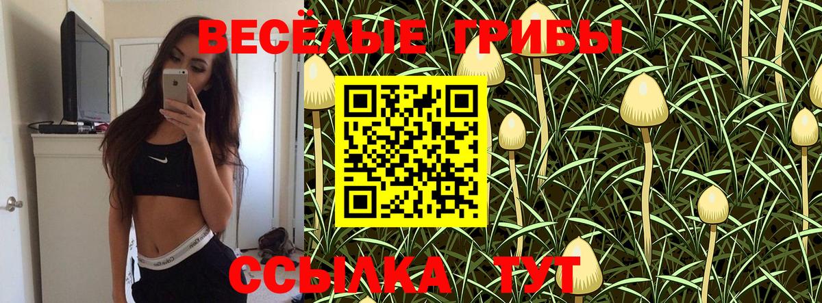 Псилоцибиновые грибы Magic Shrooms Ипатово