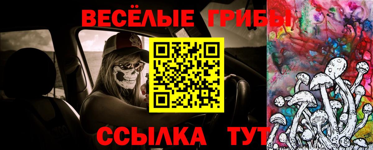 Ипатово  Галлюциногенные грибы прущие грибы  Вход с VPN  Галлюциногенные грибы GOLDEN TEACHER 